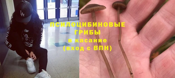 МДМА Дмитровск