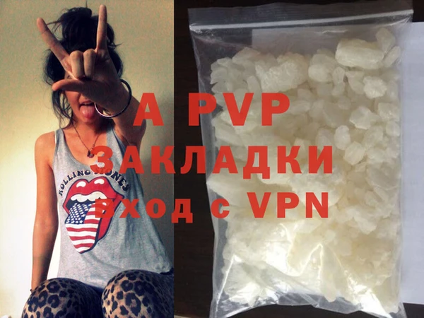 ГАЛЛЮЦИНОГЕННЫЕ ГРИБЫ Ельня