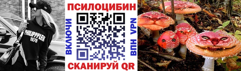 Псилоцибиновые грибы GOLDEN TEACHER  Купить закладки  Нязепетровск 